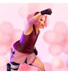 38/4/figurka-naruto-shippuden-saku_38468.jpg