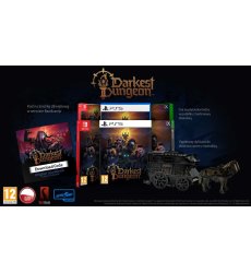 43/8/darkest-dungeon-ii-switch-uzy_43873.jpg