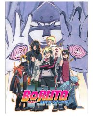 Boruto Naruto the Movie - DVD
