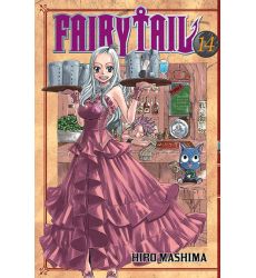 Fairy Tail 14 (Używana)