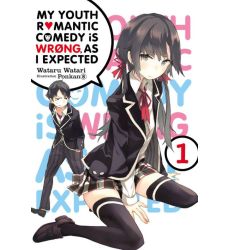 My Youth Romantic Comedy Is Wrong, As I Expected 01 LN